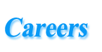 Careers at Witmart.com